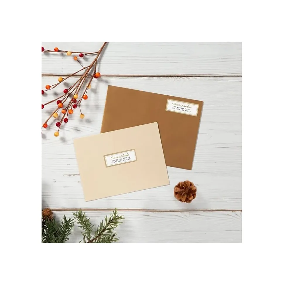 Avery Easy Peel Laser/Inkjet Address Labels, 1" x 2 5/8", White with Metallic Gold Borders, 300 Labels/Pack (6540)