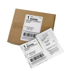 Avery Laser/Inkjet Shipping Labels with Paper Receipts, 5-1/16" x 7-5/8", White, 100 Labels/Box (27900)
