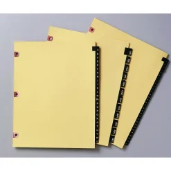 Avery Pre-Printed Monthly Dividers, 12-Tab, Black/Gold (25181)