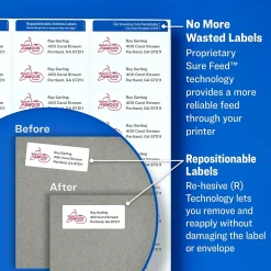 Avery Repositionable Laser Shipping Labels, 2" x 4", White, 1,000 Labels/Box (55163)