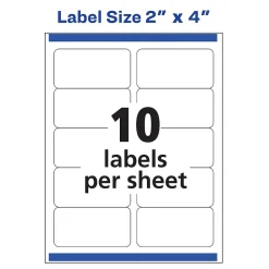 Avery Sure Feed Inkjet Shipping Labels, 2