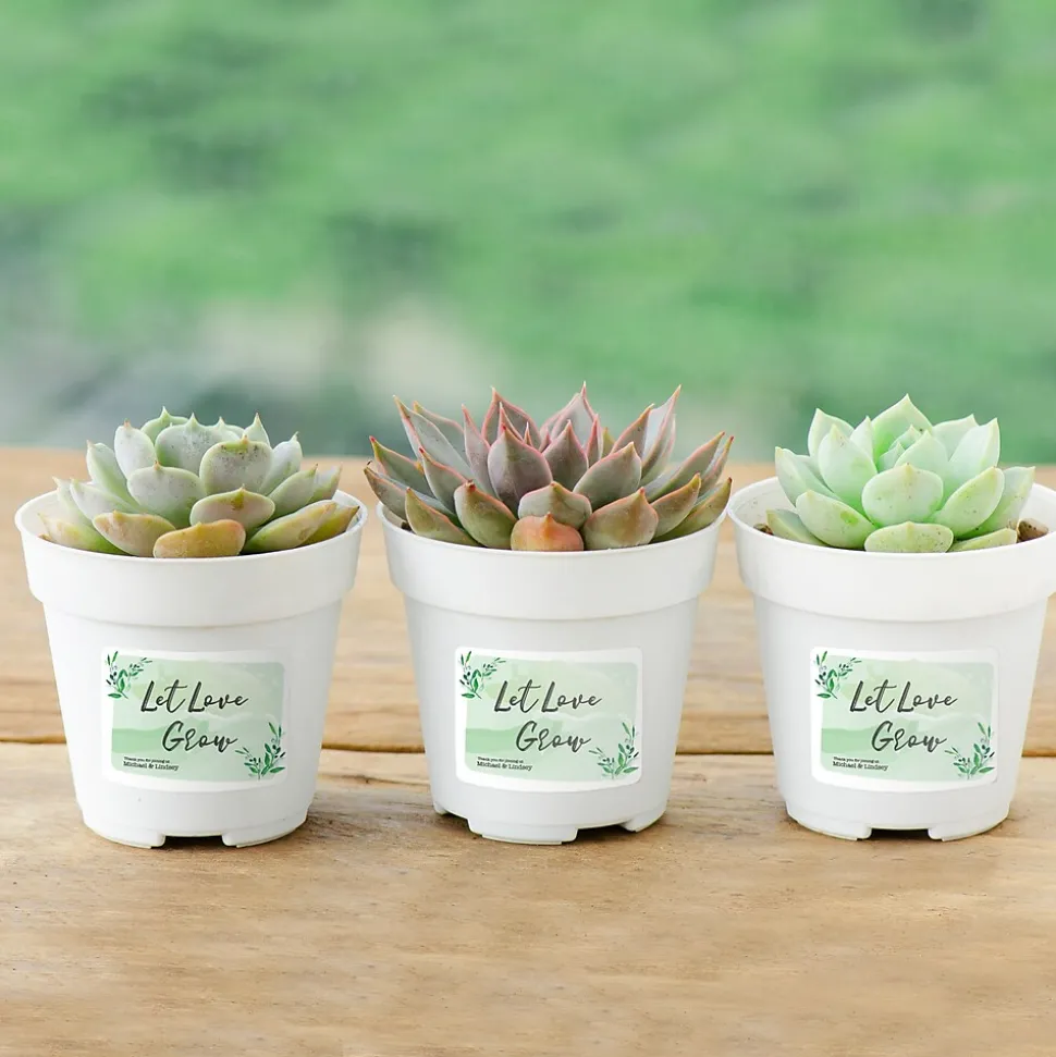 Avery Sure Feed Laser/Inkjet Durable ID Labels, 2" x 2-5/8", White, 120 Labels/Pack (6793)