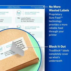 Avery TrueBlock Shipping Labels, 2" x 4", White, 100 Labels/Pack (18163)