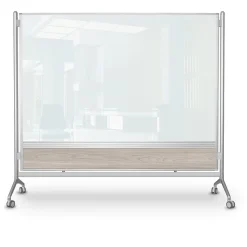 Balt D.O.C. Glass Room Divider, Silver Aluminum Frame, 58