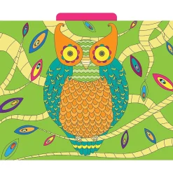 Barker Creek Bohemian Animals File Folder, 1/3-Cut Tab, Letter Size, Assorted, 12/Pack (2012)