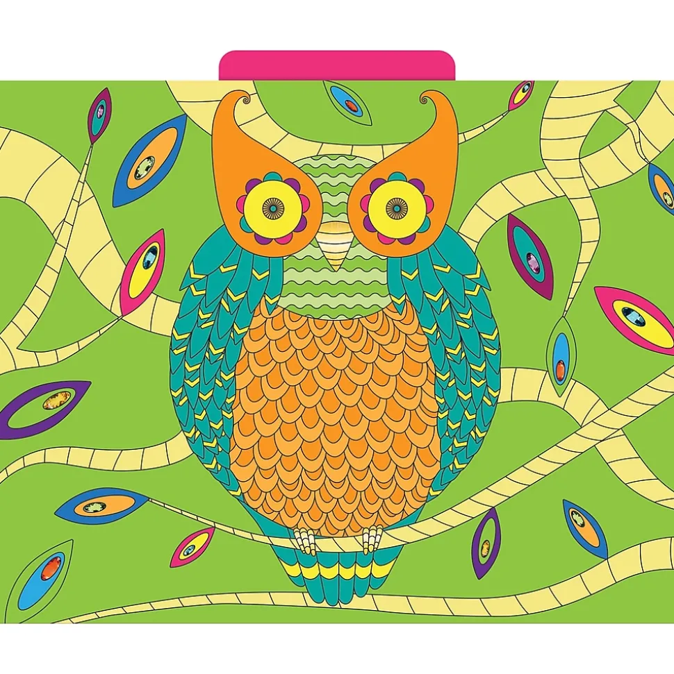 Barker Creek Bohemian Animals File Folder, 1/3-Cut Tab, Letter Size, Assorted, 12/Pack (2012)