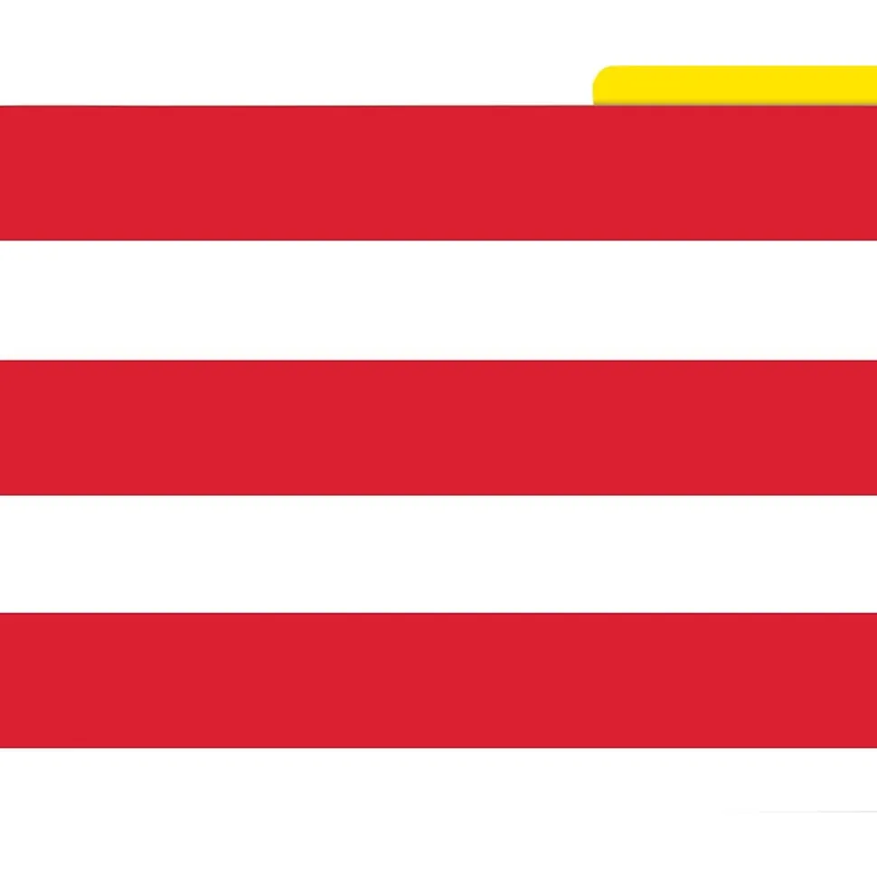 Barker Creek Buffalo Plaid & Wide Stripes Fashion File Folders, 3-Tab, Letter Size, Assorted, 12/Pack (BC1341)