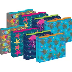 Barker Creek File Folder Set, 1/3-Cut Tab, Letter Size, Kai Ola, 24/Set (4382)