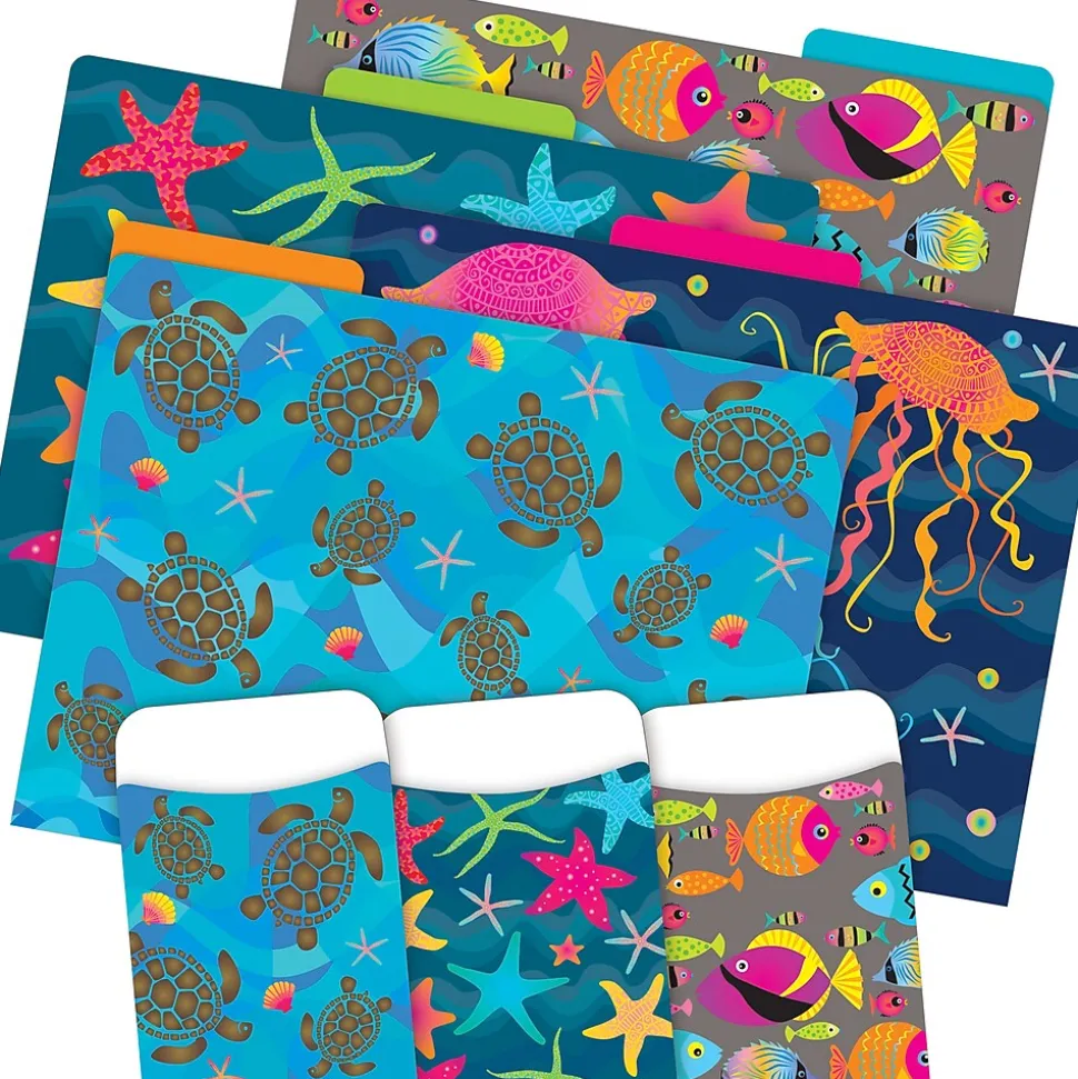 Barker Creek Folder & Pocket Set, 1/3-Cut Tab, Letter Size, Kai Ola, 42/Set (4420)