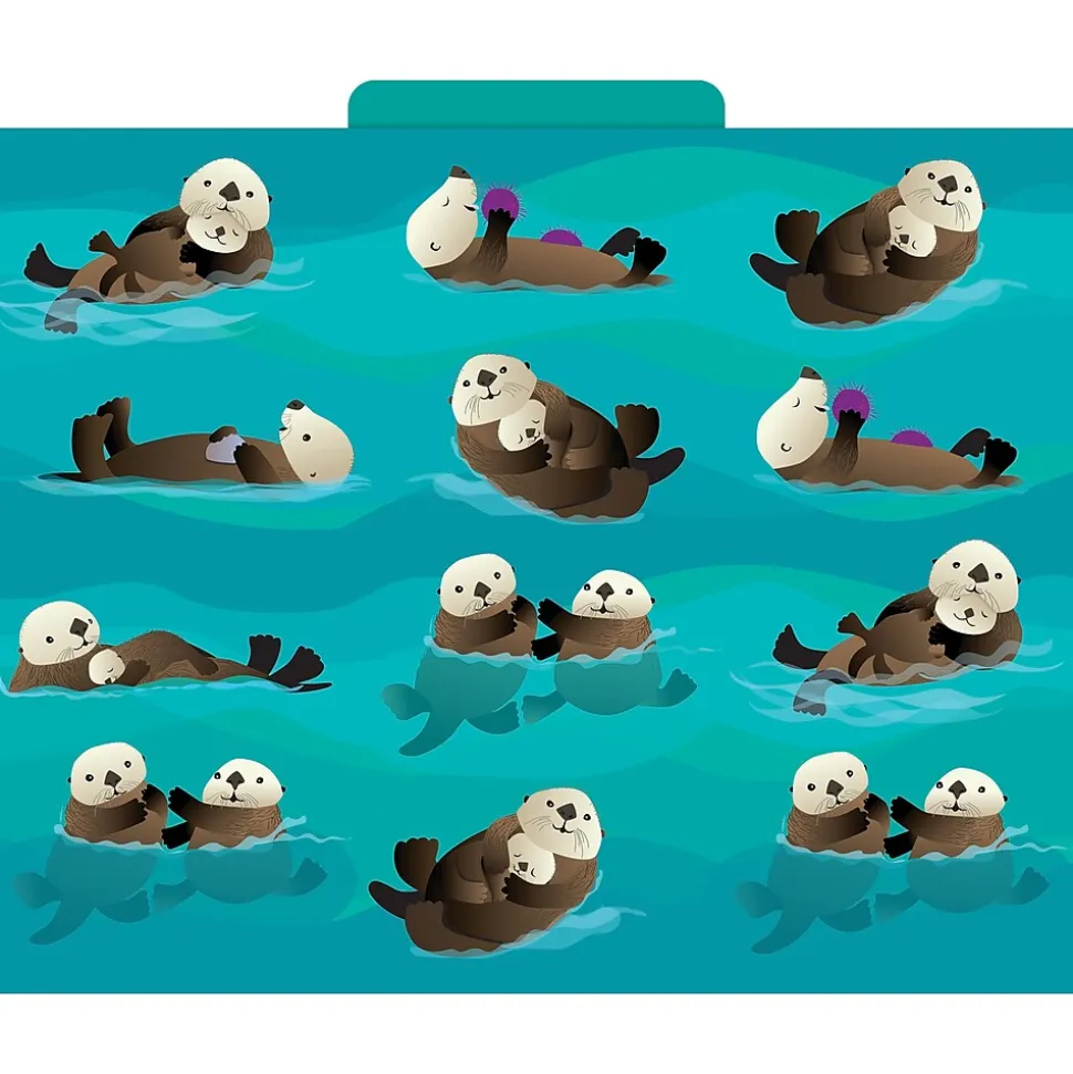 Barker Creek Sea & Sky File Folder, 1/3-Cut Tab, Letter Size, Assorted, 12/Pack (2015)