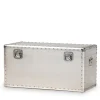 Baxton Studio Serge 13.98" High Storage Trunk, Silver (160-10246-HiT)