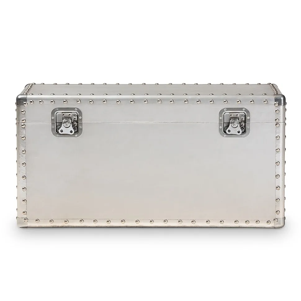 Baxton Studio Serge 13.98" High Storage Trunk, Silver (160-10246-HiT)