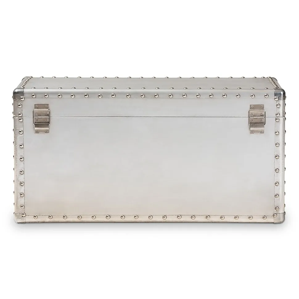 Baxton Studio Serge 13.98" High Storage Trunk, Silver (160-10246-HiT)