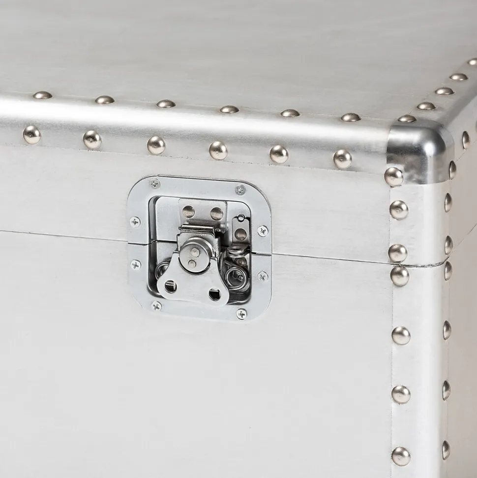Baxton Studio Serge 13.98" High Storage Trunk, Silver (160-10246-HiT)