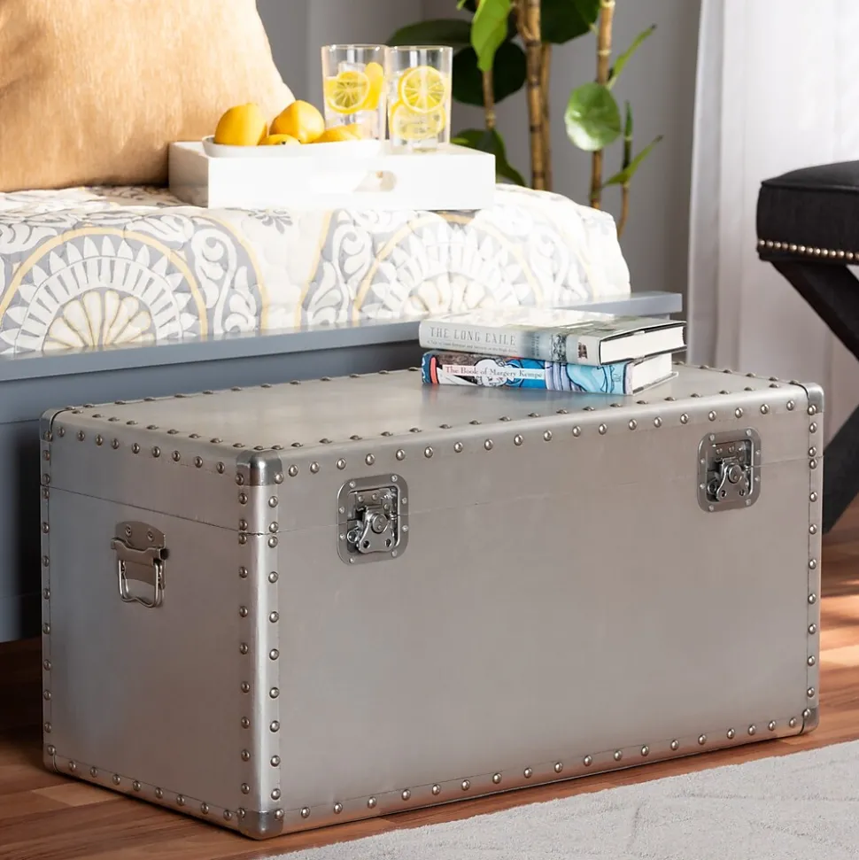 Baxton Studio Serge 13.98" High Storage Trunk, Silver (160-10246-HiT)