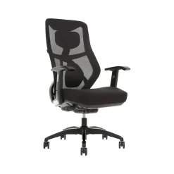 Beautyrest Duo-EX Ergonomic Mesh Swivel Task Chair, Black/Gray (60051GRY)