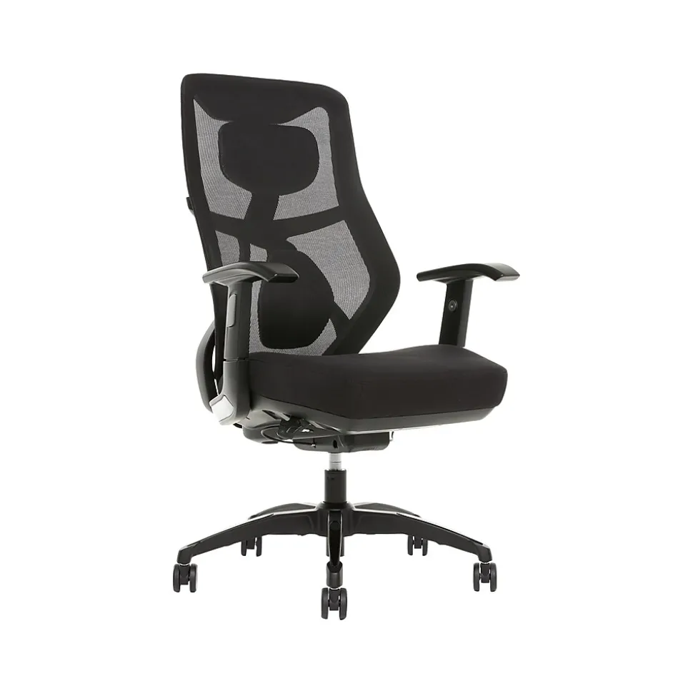 Beautyrest Duo-EX Ergonomic Mesh Swivel Task Chair, Black/Gray (60051GRY)