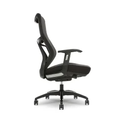 Beautyrest Duo-EX Ergonomic Mesh Swivel Task Chair, Black/Gray (60051GRY)