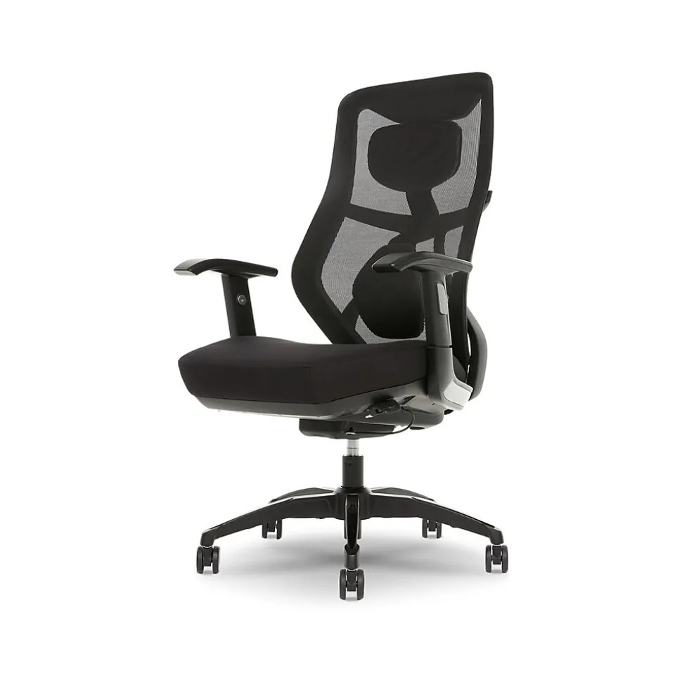 Beautyrest Duo-EX Ergonomic Mesh Swivel Task Chair, Black/Gray (60051GRY)