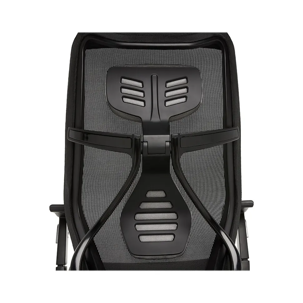 Beautyrest Duo-EX Ergonomic Mesh Swivel Task Chair, Black/Gray (60051GRY)