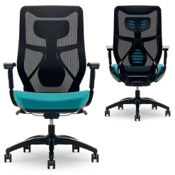 Beautyrest Duo-EX Ergonomic Mesh Swivel Computer Chair, Teal (60051-TEL)