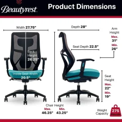 Beautyrest Duo-EX Ergonomic Mesh Swivel Computer Chair, Teal (60051-TEL)