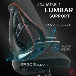 Beautyrest ErgoMax Ergonomic Mesh Swivel Task Chair, Black (60078-BLK)