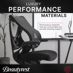 Beautyrest ErgoMax Ergonomic Mesh Swivel Task Chair, Black (60078-BLK)
