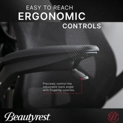 Beautyrest ErgoMax Ergonomic Mesh Swivel Task Chair, Black (60078-BLK)