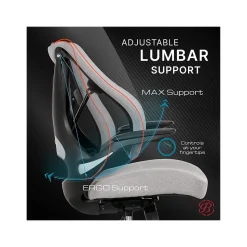 Beautyrest ErgoMax Ergonomic Mesh/Fabric Swivel Task Chair, Gray (60078-Gry)