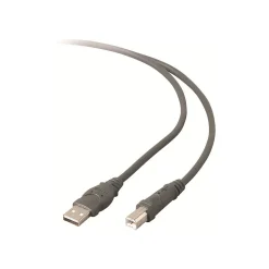 Belkin 10' USB A to USB B Cable, Male to Male, Gray/Silver (F3U133B10)