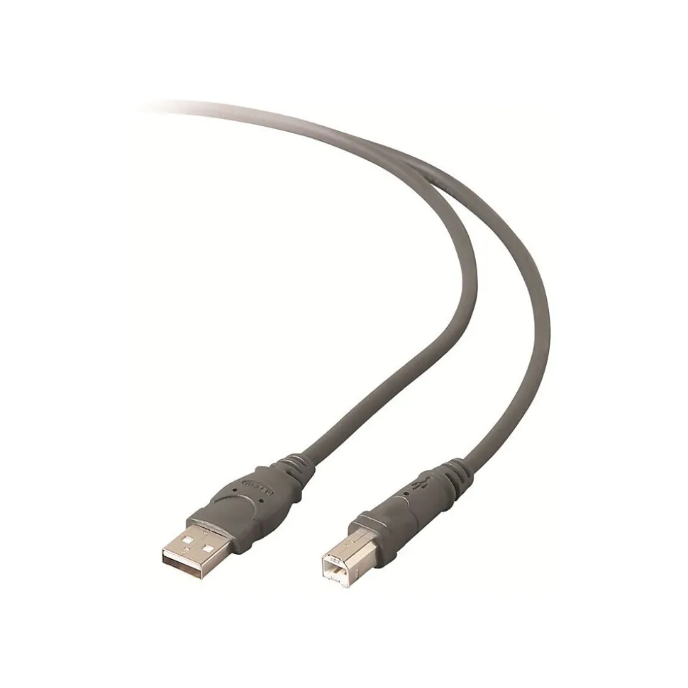 Belkin 10' USB A to USB B Cable, Male to Male, Gray/Silver (F3U133B10)