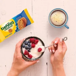 BelVita Blueberry Breakfast Bar, 1.76 oz., 8 Bars/Box (GEN02908)