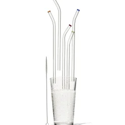 Better Houseware Extra-Wide Glass Straws with Cleaning Brush, 5 Pack, (309)