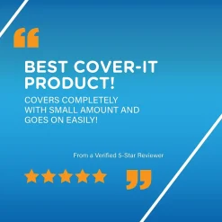 BIC Cover-it Correction Fluid, White (50367/WOC12-WHI)