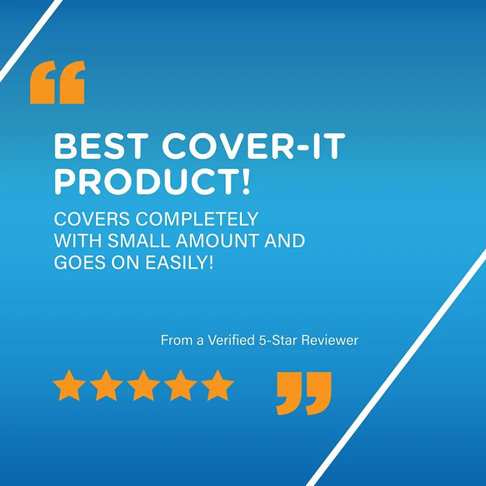 BIC Cover-it Correction Fluid, White (50367/WOC12-WHI)