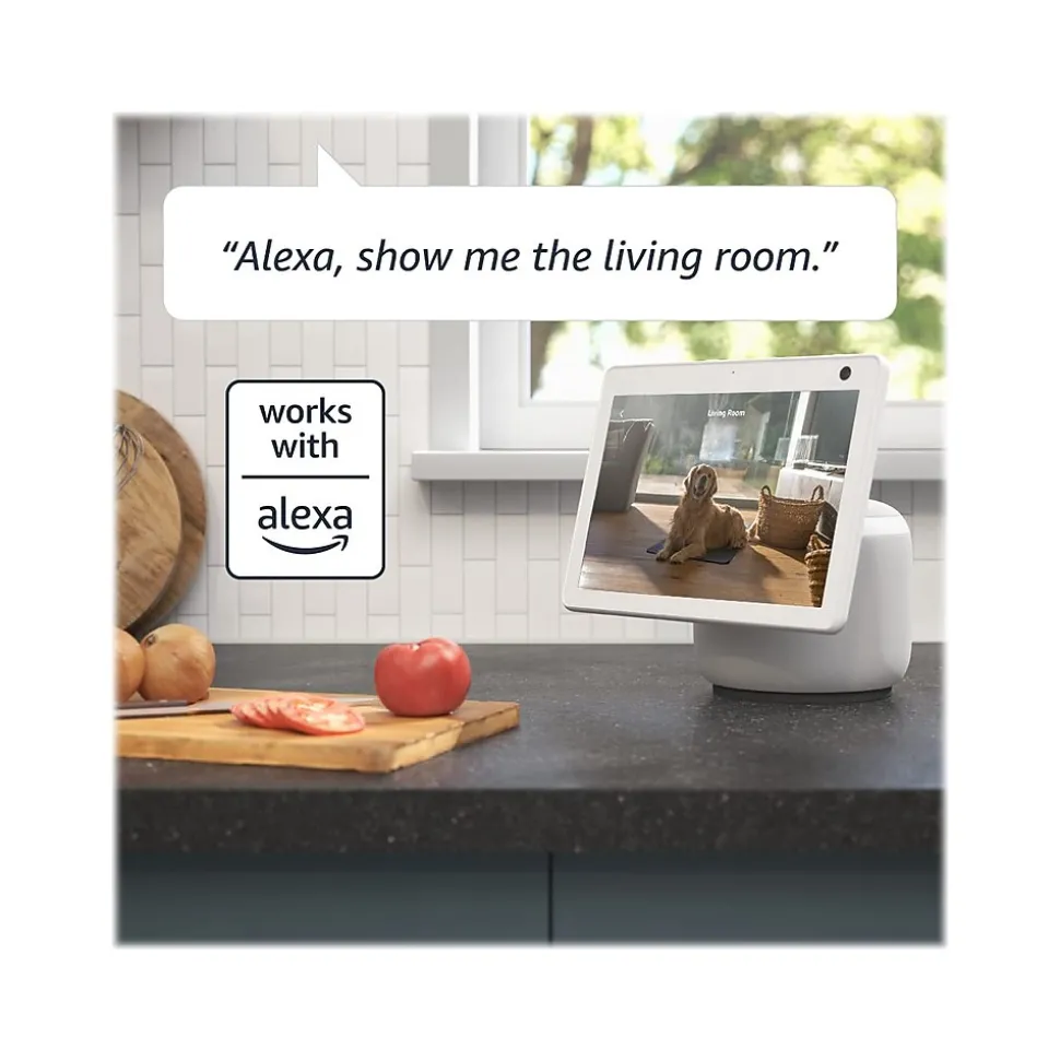 Blink Mini Pan-Tilt Wireless Camera, White (B09N6YCT3Y)