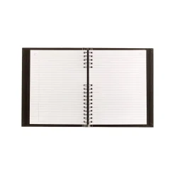 Blueline AccountPro Record Book, 7.69