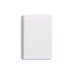 Blueline Notes Steno Pad, 6