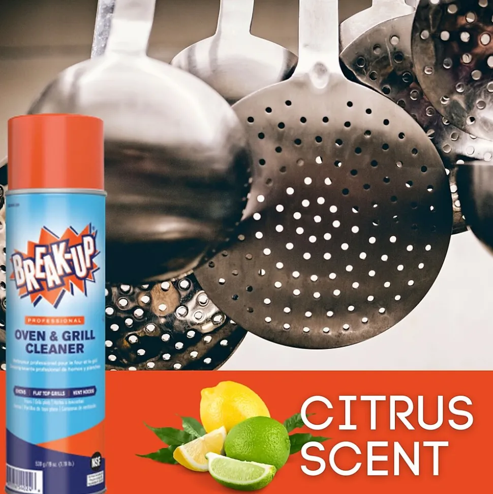 Break-Up Professional Kitchen & Oven Cleaner, 19 oz., 6/Carton (CBD991206)