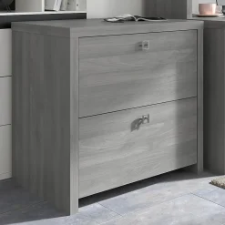 Bush Business Furniture Echo 2 Drawer Lateral File Cabinet, Modern Gray (KI60402-03)