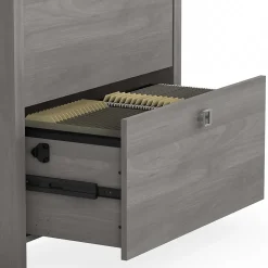 Bush Business Furniture Echo 2 Drawer Lateral File Cabinet, Modern Gray (KI60402-03)