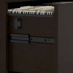 Bush Business Furniture Office in an Hour 2 Drawer Lateral File Cabinet, Mocha Cherry (OIAH011MRSU)