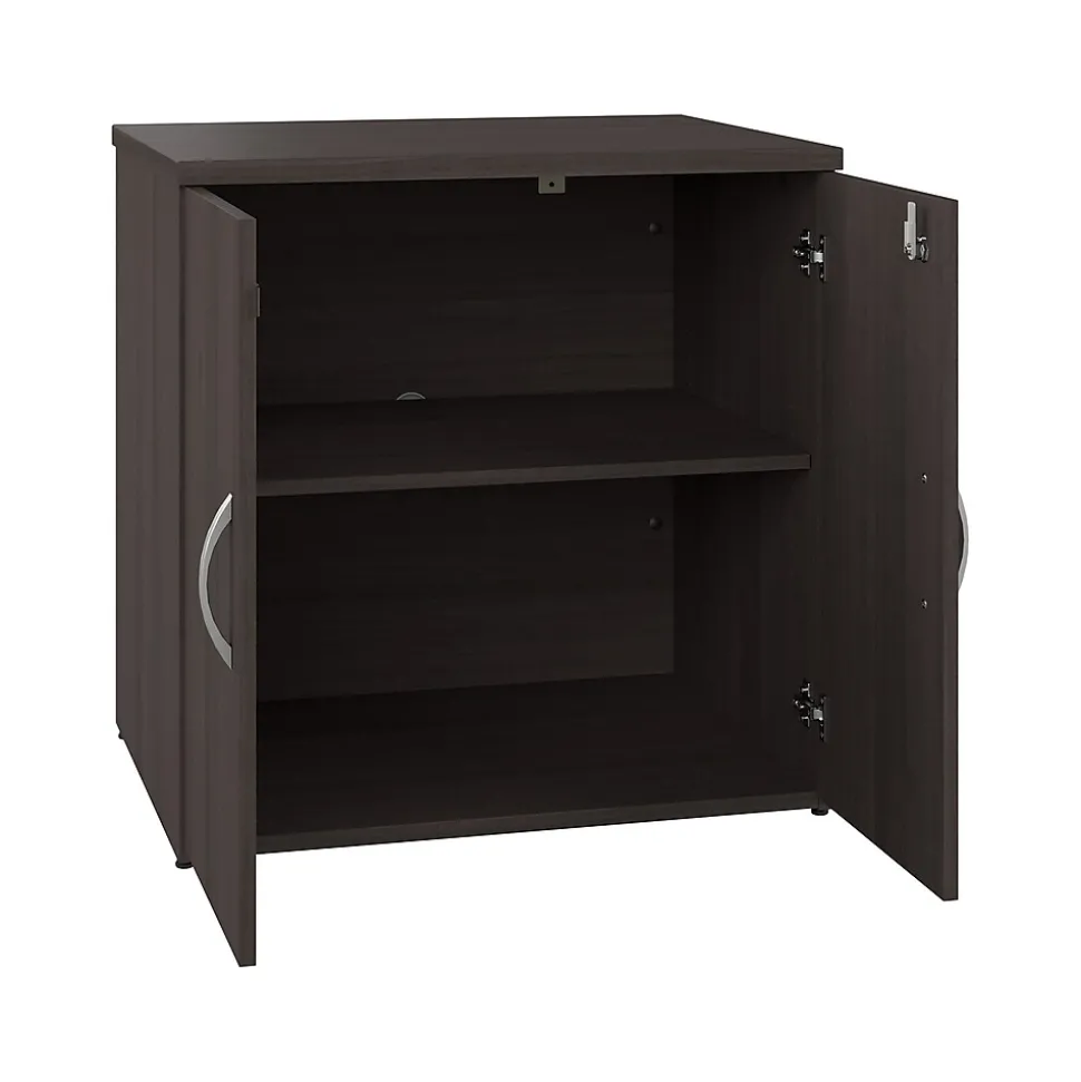 Bush Business Furniture Studio C 30" Storage Cabinet with 2 Shelves, Storm Gray (SCS130SG)