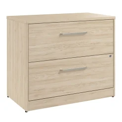 Bush Business Furniture Vista 2 Drawer File Cabinet, Natural Elm (VSF136NESU)
