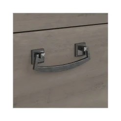 Bush Furniture Homestead 2-Drawer Lateral File Cabinet, Letter/Legal Size, Lockable, Driftwood Gray (HOF129DG-03)