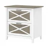Bush Furniture Key West 2-Drawer Lateral File Cabinet, Letter/Legal, Shiplap Gray/Pure White, 30" (KWF130G2W-03)