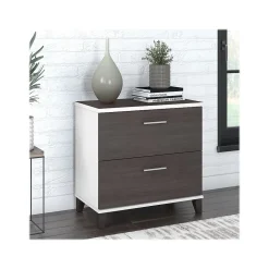 Bush Furniture Somerset 2-Drawer Lateral File Cabinet, Letter/Legal, Storm Gray/White, 30" (WC81080)