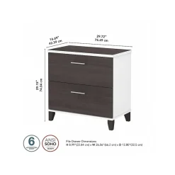 Bush Furniture Somerset 2-Drawer Lateral File Cabinet, Letter/Legal, Storm Gray/White, 30