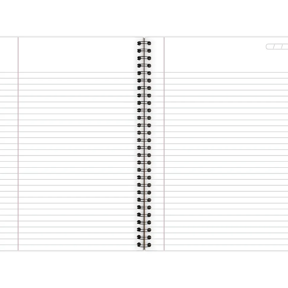 Cambridge Legal 1-Subject Professional Notebooks, 6.5" x 9.5", Legal Ruled, 80 Sheets, Gray (06672)